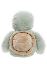 Load image into Gallery viewer, Charlie Bears Bear and Me Timmy the Tortoise