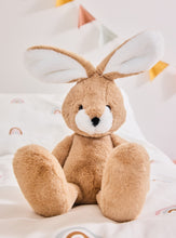 Load image into Gallery viewer, Charlie Bears Bear and Me Harry the Hare