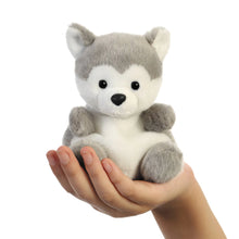Load image into Gallery viewer, Busky the Husky Palm Pal Plush