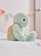 Load image into Gallery viewer, Charlie Bears Bear and Me Timmy the Tortoise
