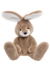 Load image into Gallery viewer, Charlie Bears Bear and Me Harry the Hare
