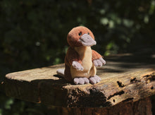 Load image into Gallery viewer, Charlie Bears Cuddle Cubs Duck Billed Platypus
