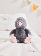 Load image into Gallery viewer, Charlie Bears Bear and Me Mula the Mole
