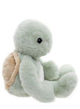 Load image into Gallery viewer, Charlie Bears Bear and Me Timmy the Tortoise
