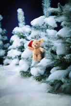 Load image into Gallery viewer, Steiff Cosy Christmas pendant Ben Teddy bear keychain
