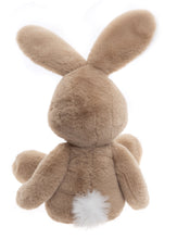 Load image into Gallery viewer, Charlie Bears Bear and Me Harry the Hare
