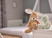 Load image into Gallery viewer, Charlie Bears Bear and Me Harry the Hare
