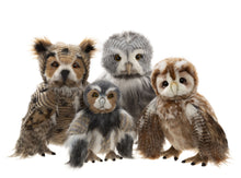 Load image into Gallery viewer, Charlie Bears Plush Collection Wing Commander Swift Owl
