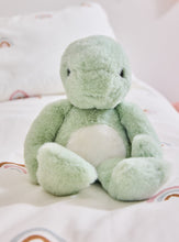 Load image into Gallery viewer, Charlie Bears Bear and Me Timmy the Tortoise
